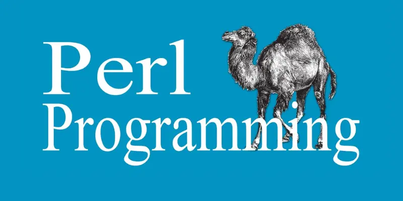 Best Programming Languages